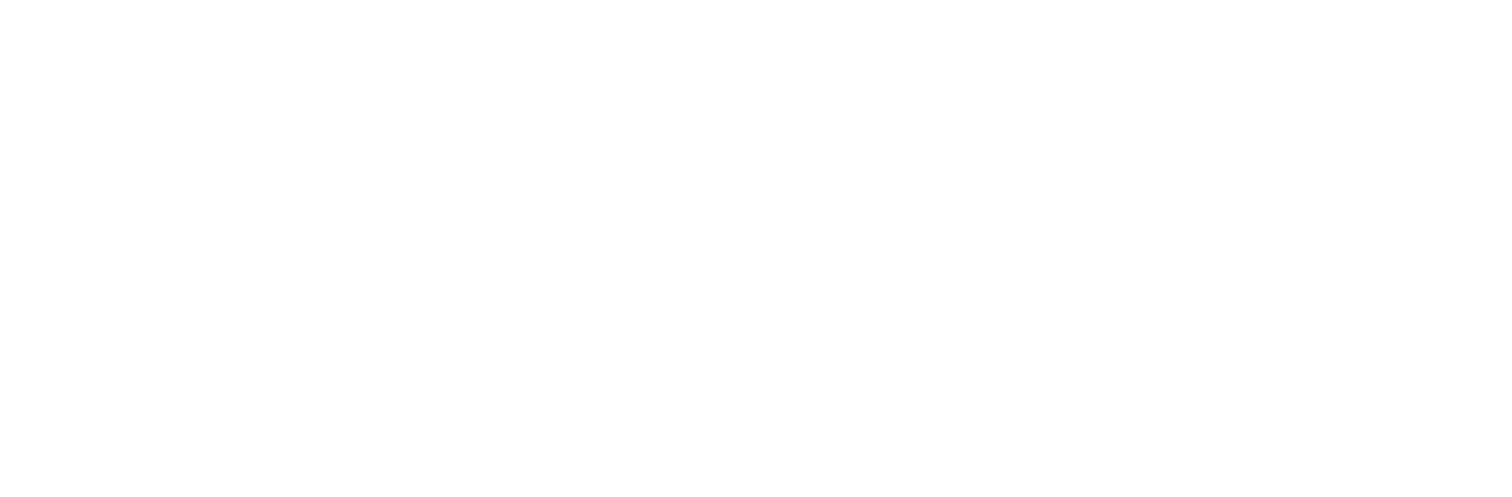 google-white